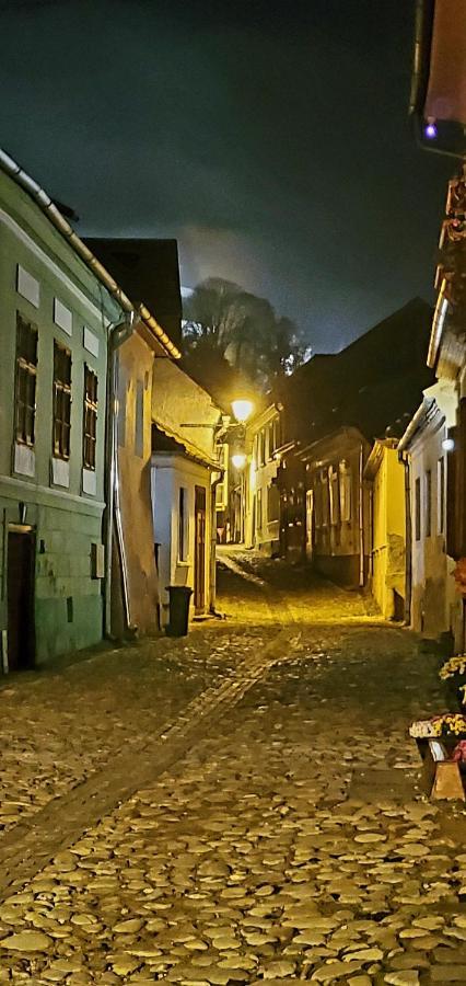 Pensiunea Lelila Inn 시기쇼아라 외부 사진